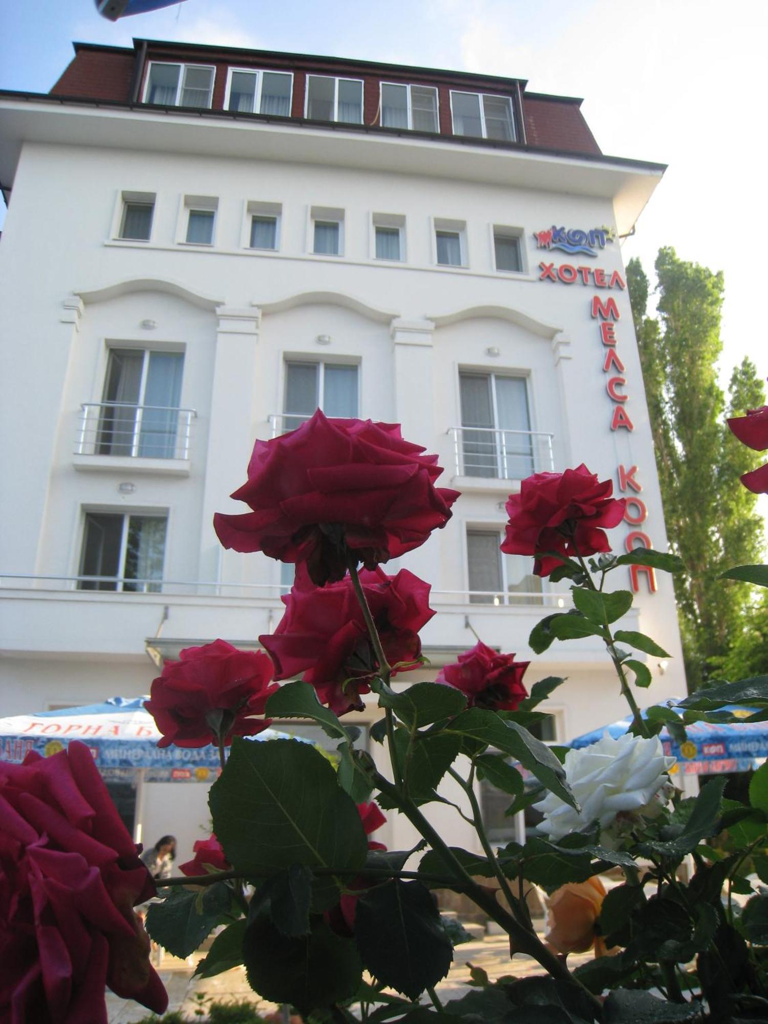 Melsa Coop Otel 3*